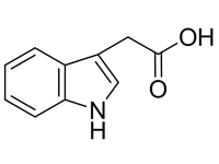 3-吲哚<em>乙酸</em>，CP，97%